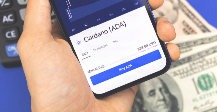 Cardano Invests in DeFi, NFT and Blockchain Education