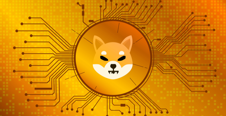Where to buy Shiba Inu, since SHIB has increased by 58%
