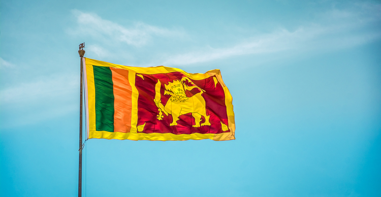 Sri Lanka commissions Expert Panel to investigate virtual Assets