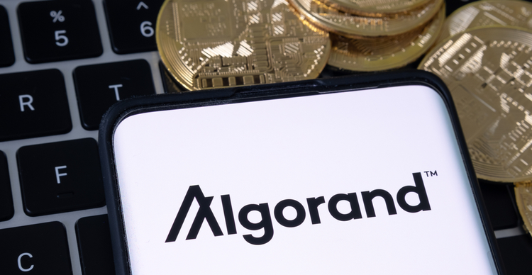 ALGO increases by more than 3%