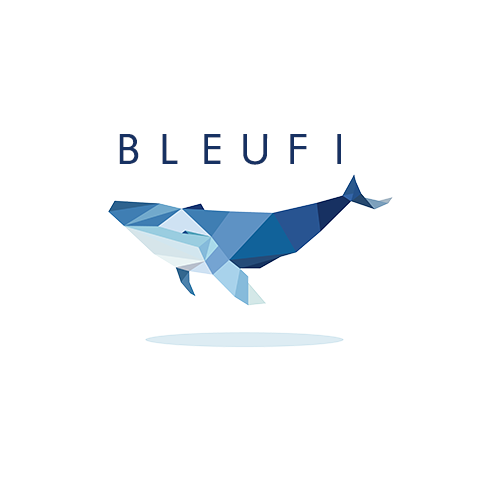 BleuFi – A ONE-STOP-SHOP FOR ALL DeFi NEEDS